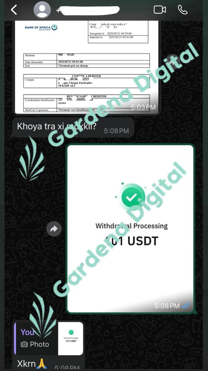 WhatsApp Image 2025-05-30 at 1.36.39 AM (1)